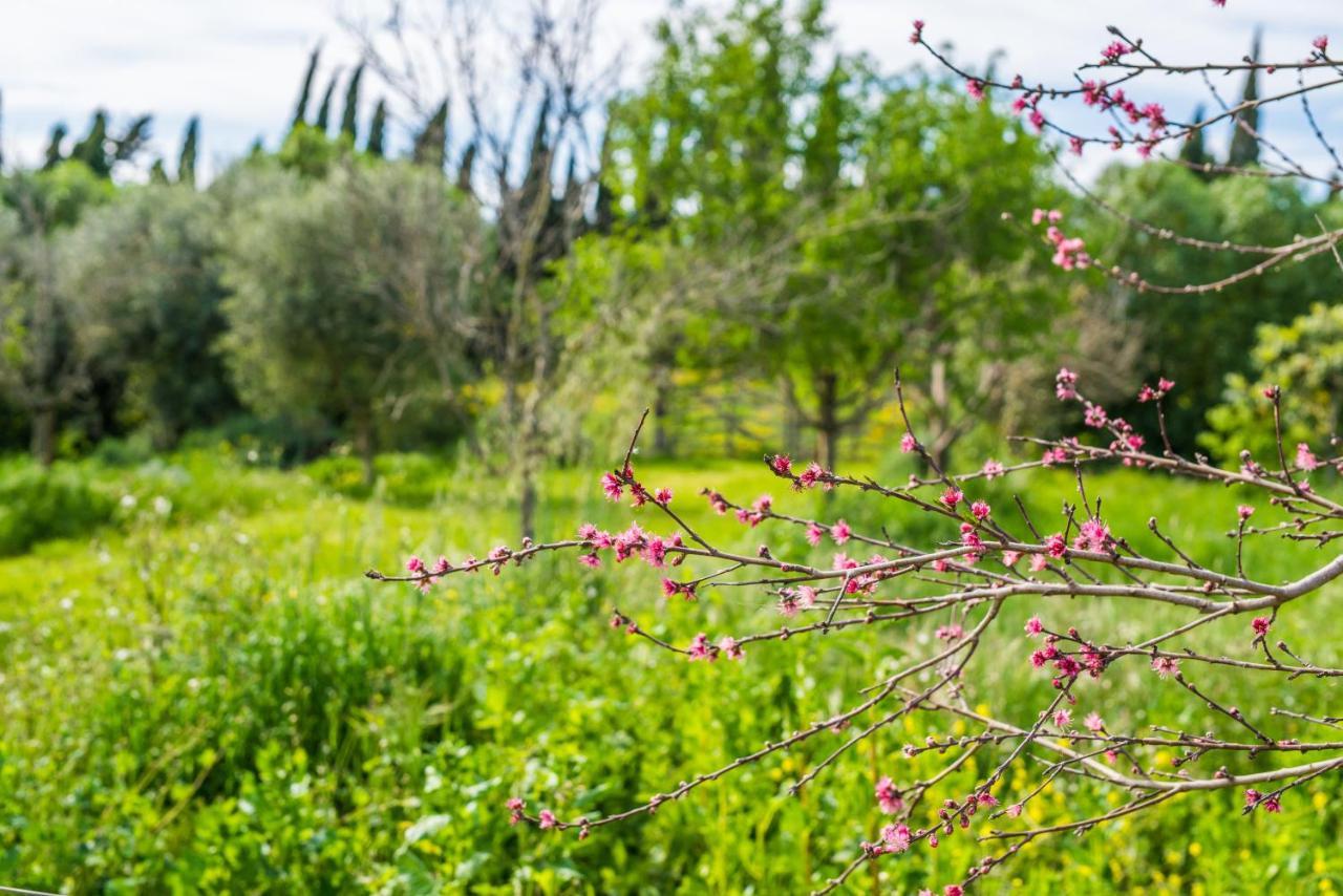 Traumhafte Finca Son Senyor - Mit Pferdekoppel Villa Sa Pobla Luaran gambar